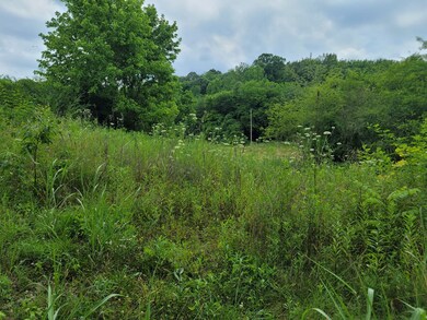 1150 Turner Rd, Prospect, TN 38477 - photo 2