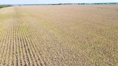 NWC of NW 130th St and Nw Hunter Rd - Tract 4, Potwin, KS 67123 - photo 3