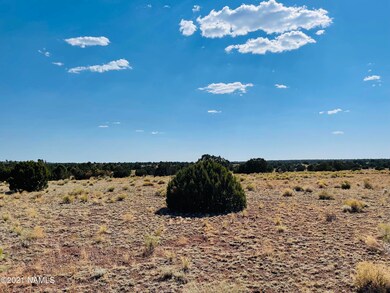 4752 Lasso Loop Photo 14