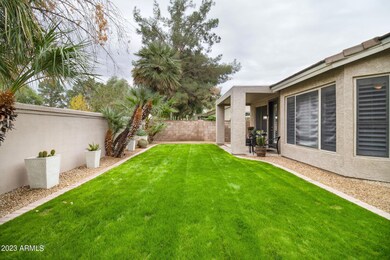 831 N Date Palm Dr, Gilbert, AZ 85234 - photo 6