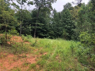 Lot 233 Deer Run, Purlear, NC 28665 - photo 5