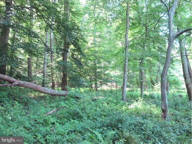 2083 Haverford Dr, Crownsville, MD 21032 - photo 2