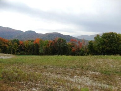 0 Lily Pond Ln unit 4810570, Dorset, VT 05251 - photo 4