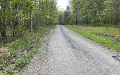 Additional View