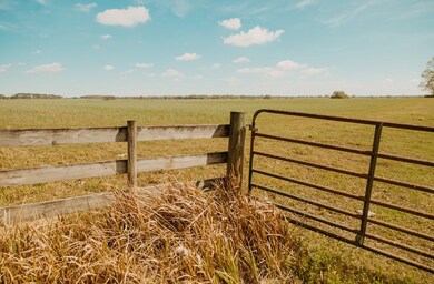 000 SW 180th Ave, Dunnellon, FL 34432 - photo 4