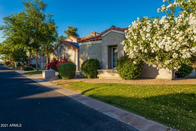 Tree Lined Streets