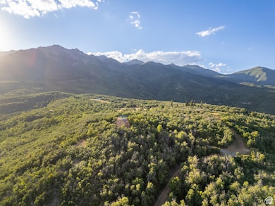 2000 Oakwood Dr unit 1, Springville, UT 84663 - photo 4