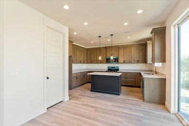 Kitchen with a kitchen island, pendant lighting, recessed lighting, light wood-style floors, and appliances with stainless steel finishes