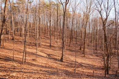 McLemore Cove Ridge-3