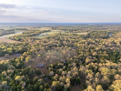 Tract 2 100AC Mcmillan Rd, Madill, OK 73446 - photo 3