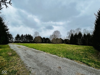 The clearing would make a great homestead location.