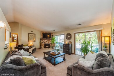 1510 Commodore Ln unit 8, Schaumburg, IL 60193 - photo 5