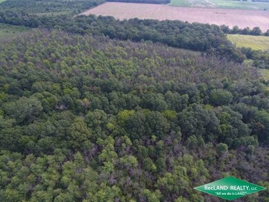 0 Louisiana 183 unit 11567761, Holly Ridge, LA 71269 - photo 6