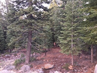 View from Rancho View Court