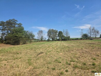 2485 Palestine Rd, Campbellsville, KY 42718 - photo 4