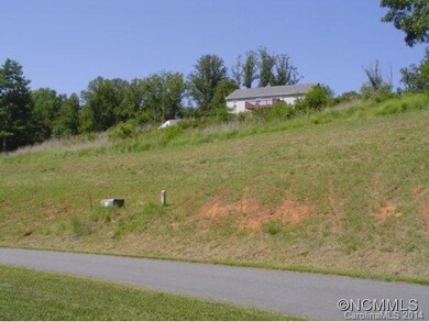 Lot 3 - upper portion cleared