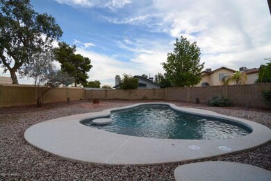Backyard-Pool