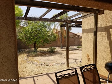 Back yard 2