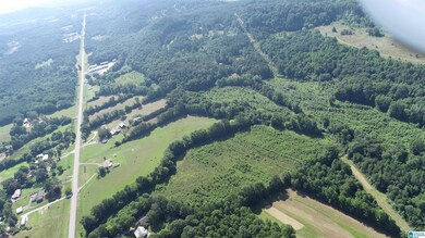 0 U S 231 unit 21390284, Oneonta, AL 35121 - photo 7