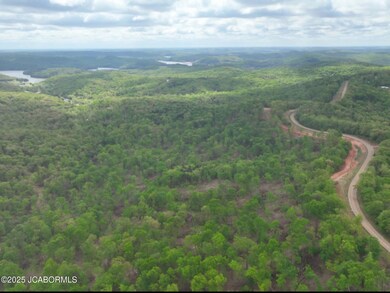 Lot 3 State Aa Rd, Roach, MO 65787 - photo 5