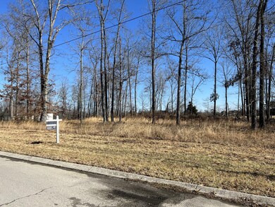 0 Whispering Winds Dr unit RTC2353344, Manchester, TN 37355 - photo 3