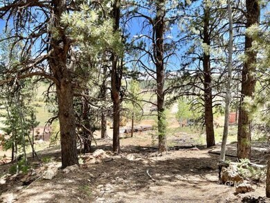 930 E Appaloosa Dr, Duck Creek Village, UT 84762 - photo 6