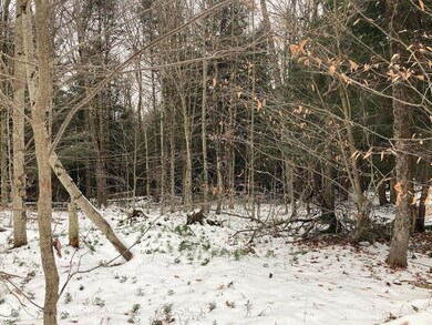 New York 8, Cold Brook, NY 13324 - photo 6