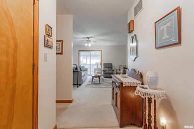 235 Heritage Ave, Lincoln, IL 62656 - photo 4