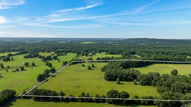 00 Harned Ln, Enola, AR 72047 - photo 6