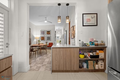 1505 Calle Loíza unit 2A, San Juan, PR 00911 - photo 5