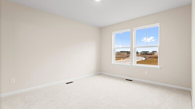Carpeted owner's suite with large double window in a DRB Homes Glenshaw plan at The Village of College Park.