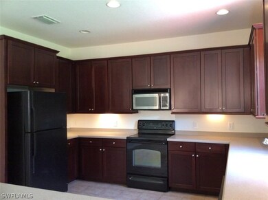 11033 River Trent Ct, Lehigh Acres, FL 33971 - photo 4