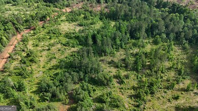 21 Emmaus Dr, Elberton, GA 30635 - photo 4