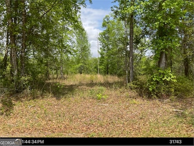 0 Clarks Bluff Rd unit 10647777, Kingsland, GA 31548 - photo 2