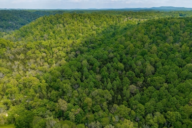 0 Red Bud Ln, Hilham, TN 38568 - photo 3