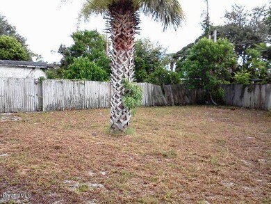 Huge Back Yard