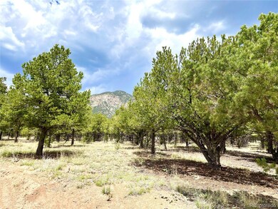 Tract 6 PHILLEO ANNE S Hemlock St, Crestone, CO 81131 - photo 5