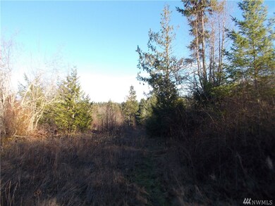 0 173rd Ave SE unit 1258415, Yelm, WA 98597 - photo 7