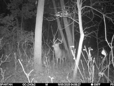 1504 Atom Rd, Lincoln, WI 54666 - photo 6