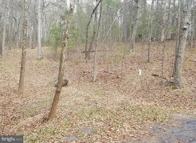 0 Palmer Rd unit 1003241395, Basye, VA 22810 - photo 4