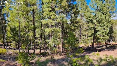 178 Gerka Ln, Florissant, CO 80816 - photo 5