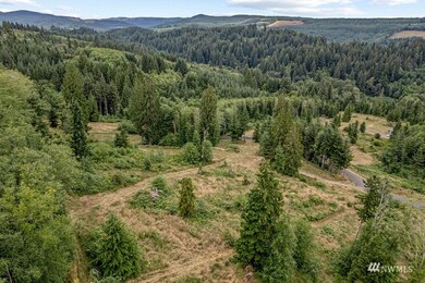 242 Bison Run, Longview, WA 98632 - photo 4