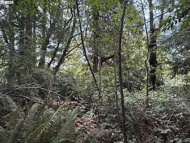 0 Averill Hill Rd unit 705339825, Portorford, OR 97465 - photo 2