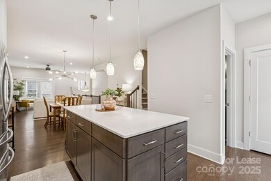 12106 Brooklyn Ave, Charlotte, NC 28204 - photo 6