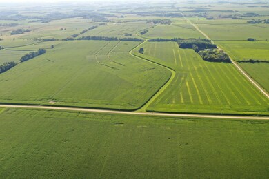 TBD 150th Ave SE, Dover, MN 55929 - photo 3