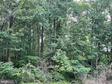 0 Harmony Ln, Stanley, VA 22851 - photo 5