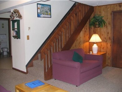 Wood burning fireplace