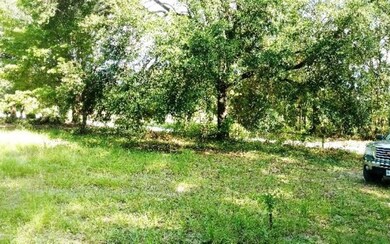 Trees for shade