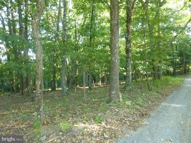 42 A Big Timber Dr, Whitacre, VA 22625 - photo 3