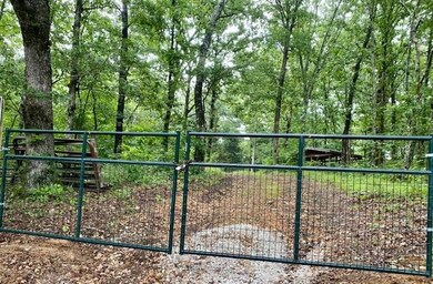 10873 N Devils Den Rd, Winslow, AR 72959 - photo 5